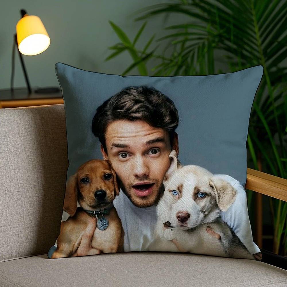 Pillow Case Singer L_Liam Payne Sofa Short Plush Double-Sided Hd Printing Room Home Office Gift Cushion Cover