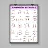 3Pcs Home Workout Poster Set with Dumbbell Bodyweight Barbell Exercises Full Body Strength Training Guide for Beginners Advanced Laminated Fitness