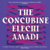 The Concubine by Elechi Amadi Paperback Book 9781035906079