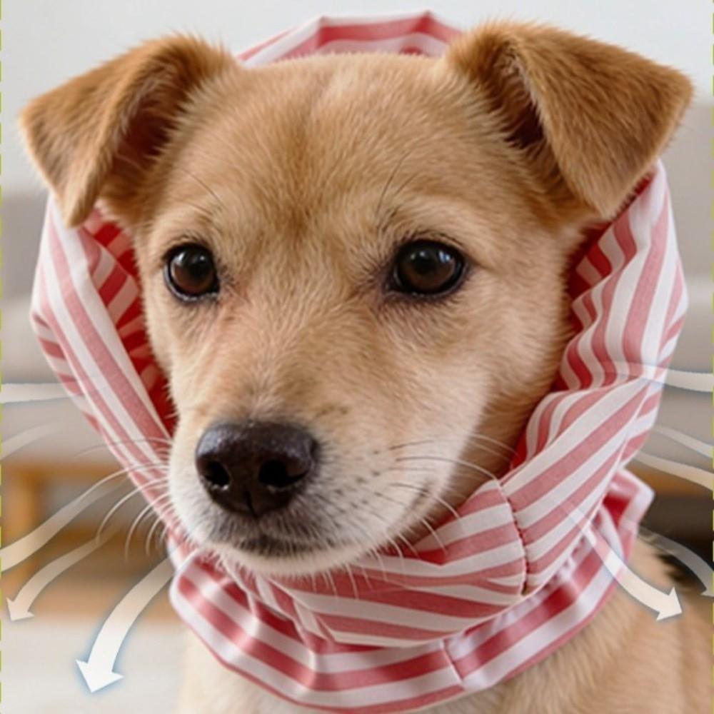 Atmungsaktiver Haustier-Snood Verstellbares Hundehalsstützkragen Bequeme Hundeearmstulpen Pflegesalon