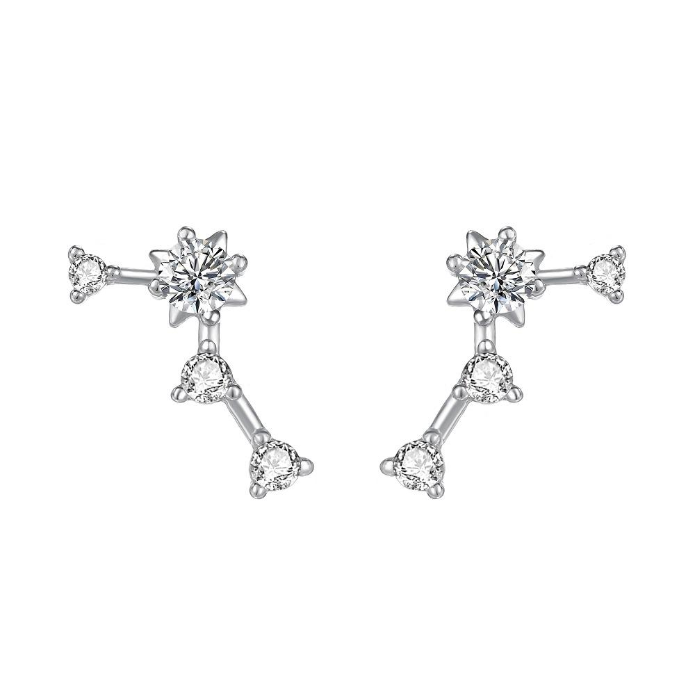 Korean Fashion Twelve Constellation Earrings for Women S925 Sterling Silver Exquisite Sparkling Zircon Earrings