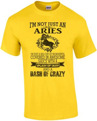 I'm Not Just An Aries I'm Just A Big Cup Of Wonderful Covered In Awesome T-Shirt