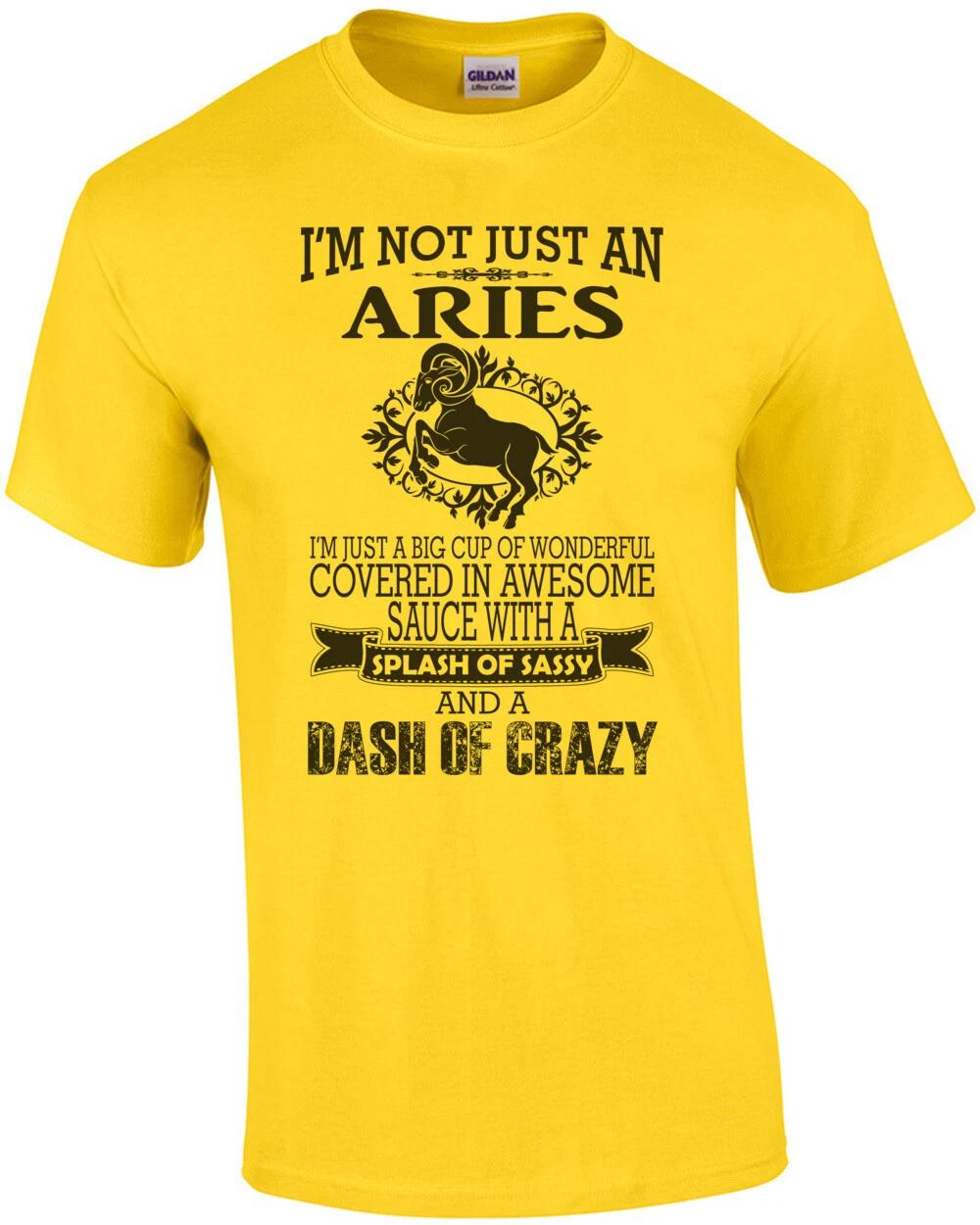 I m Not Just An Aries I m Just A Big Cup Of Wonderful Covered In Awesome T-Shirt 2XL