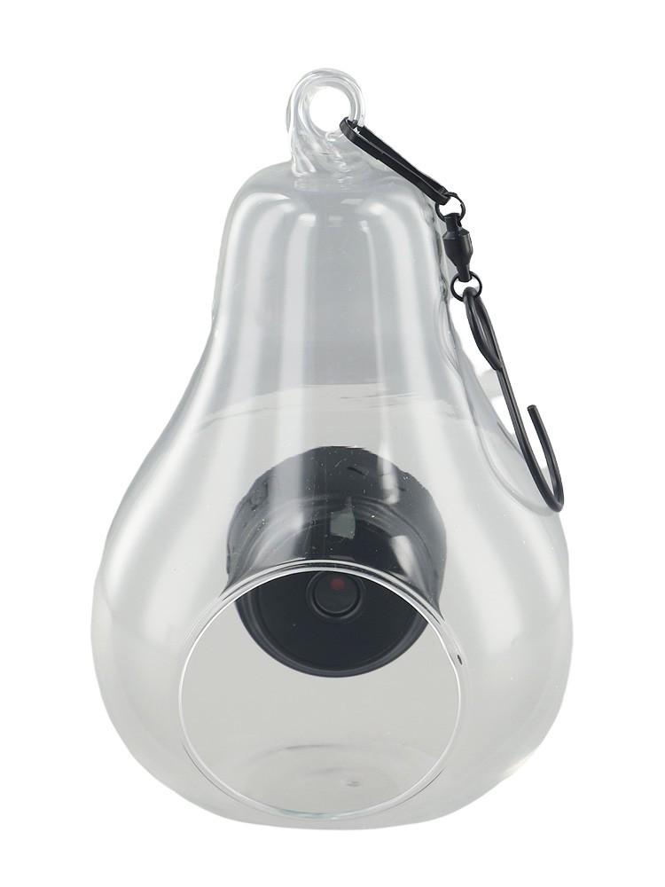 

Красивые снимки крупным планом кормушка для птиц на открытом воздухе сад WiFi соединение B with camera