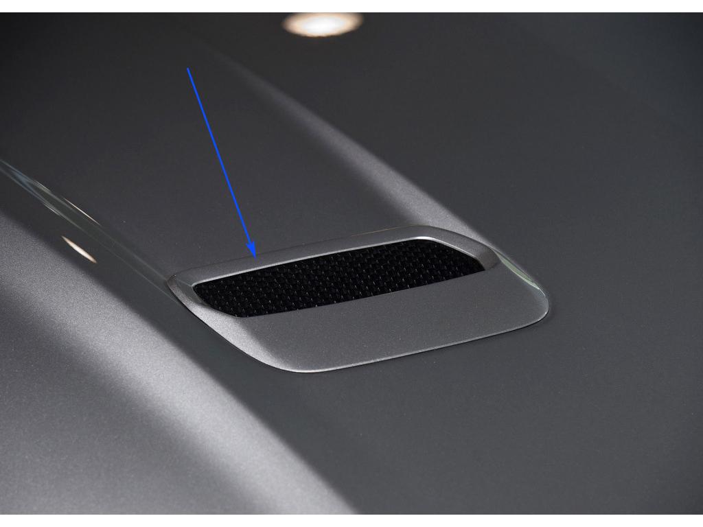 Tantan Carbon Fiber Engine Hood Vents for Ford GT Mustang - Genuine Carbon Fiber Exterior Mods