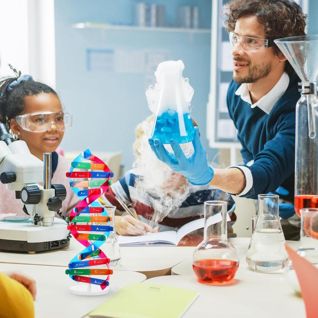 NUOBESTY Double Helix DNA Model Kit DNA Structure Models Human Genes Learning Kit for Biological Teaching Prop