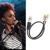   Splitter 1 XLR Female Plug to 2   Male Plugs Cable for Home Theater and Professional   Equipment