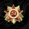 Eleganti e Autentici Design di Spille con Medaglie Sovietiche dell'Ordine della Guerra Patriottica per Feste a Tema e Regali Unici