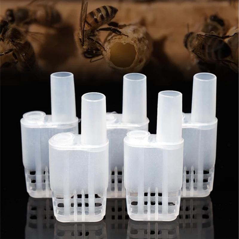20Pcs Bees Queen Cages Protective Cover Replacement Beekeeping Catcher Plastic Bees Isolator Clip for Indoor Home Outdoor