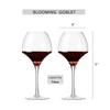 Crystal Red Wine Glasses - Premium Large Hand Blown Wine Goblet - Long Stem Wine Glasses - Gifts for Wine Lovers, Wine Tasting