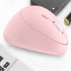 OLOEY Ergonomic Wireless Optical Laptop Mouse