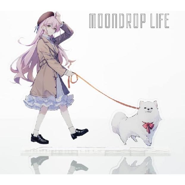 

Moondrop Dynamic in-Ear Earphone (Acrylic Stand)