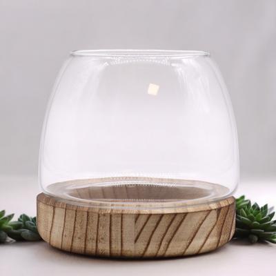 Terrarium On Natural Tung Wood, Small
