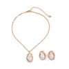 Accessories French Irregular Alloy Collarbone Chain Set Stylish Elegant Pearl Pendant Necklace Women