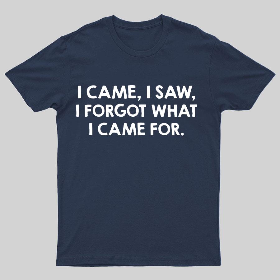 I Came and Saw Funny Geeky T-Shirt