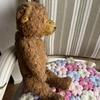 [USED] Antique Dark Brown Teddy Bear, Approximately 41cm, German Vintage