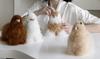 INJOI Alpaca Plush Toy, Fluffy and Cute, Handmade with Rare Natural Alpaca Fur, Perfect for Anniversaries and Special Occasions, As a Gift (15cm,