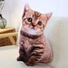 Cat & Dog Plush Toy - Corgi Chihuahua Cushion & Rag Doll