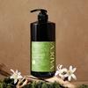 Badiv Mio Mate Root Hair Loss Shampoo Verde Sereno 1000ml