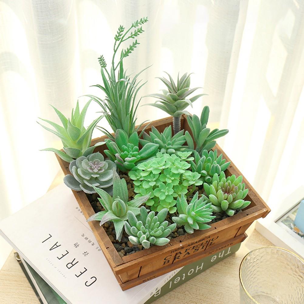Fleshy Simulated Succulent Flocking Home Plant Flower Head