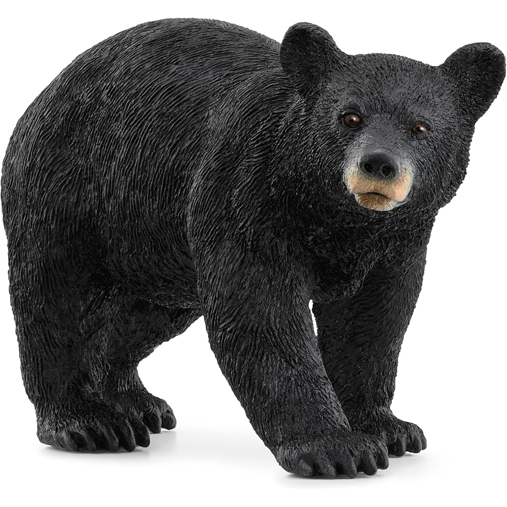 Schleich Wildlife American Black Bear Figure 14869 Realistic Design Educational Toy