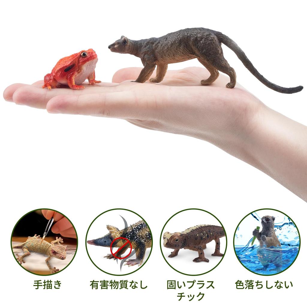 TOYMANY Madagascar Animal Figures, 12-Piece Hand-Painted Educational Set