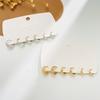 Cross-border Simple Earrings, High-end Niche Men's and Women's European and American Alloy Earrings, Personalized Temperament, Rock Punk Earrings.