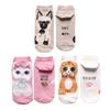 Animal Cotton Socks Women Autumn Winter Cute Cartoon Cat Dog Parttern Mid Tube Sock Kawaii Female Girl Funny Floor Sleep Socks