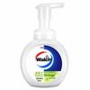 Walch Foaming Antibacterial Hand Soap, Lime Scent