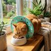 Anti Licking Dog Recovery Collar Comfortable Cat Protective Collar Pet Elizabethan Collar  Grooming