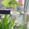 Plastic Floating Aquarium Planting Basket Fish Plant Symbiosis Planter  Aquarium Landscaping Tool