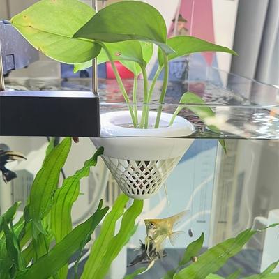 Poissons et animaux marins – Décoration d’aquarium