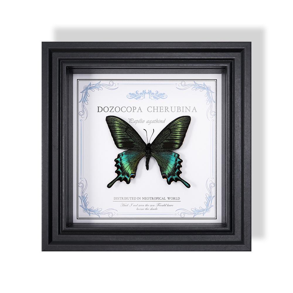 Wall-Mounted Butterfly Specimen Photo Frame: Home Decor & Gift for Valentine's Day, Qixi, Birthday, Couples & Insect Lovers
