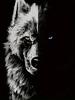 Wolf Creative 3D Print Stylish T-shirt For Men, Comfortable And Fashion Crew Neck Short Sleeve, Suitable For Daily Wear