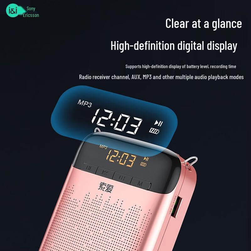 Suoai 13W Smart Anti-Howling Portable Voice Amplifier