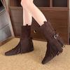 Fashion Vintage Tassels Decor Riding Boots Women 2025 Slip On Buckle Low Heels Mid Calf Boots Woman Pointed Toe Western Stray Botas