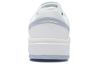 Li Ning ACE V2 Abrasion Resistant Breathable Low top Skateboard Shoes Women's White Gray AGCS156-1