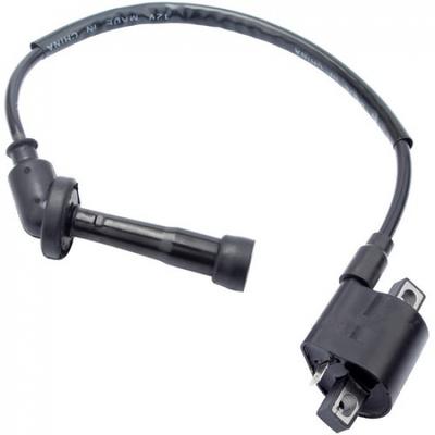 Ignition Coil For Yamaha Grizzly 660 YFM660 2002 2003 2004 2005 2006 2007 2008
