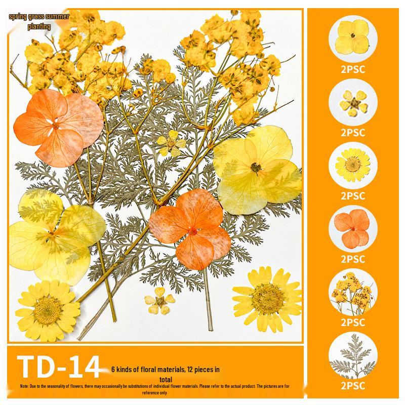 Handmade Pressed Flower Bookmark and Epoxy Sticker Pack with Real Leaf and Plant Specimens for DIY Face Makeup.