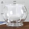 Modern Minimalist Hydroponic Glass Vase for Pothos & Green Plants - Living Room Desk Decor