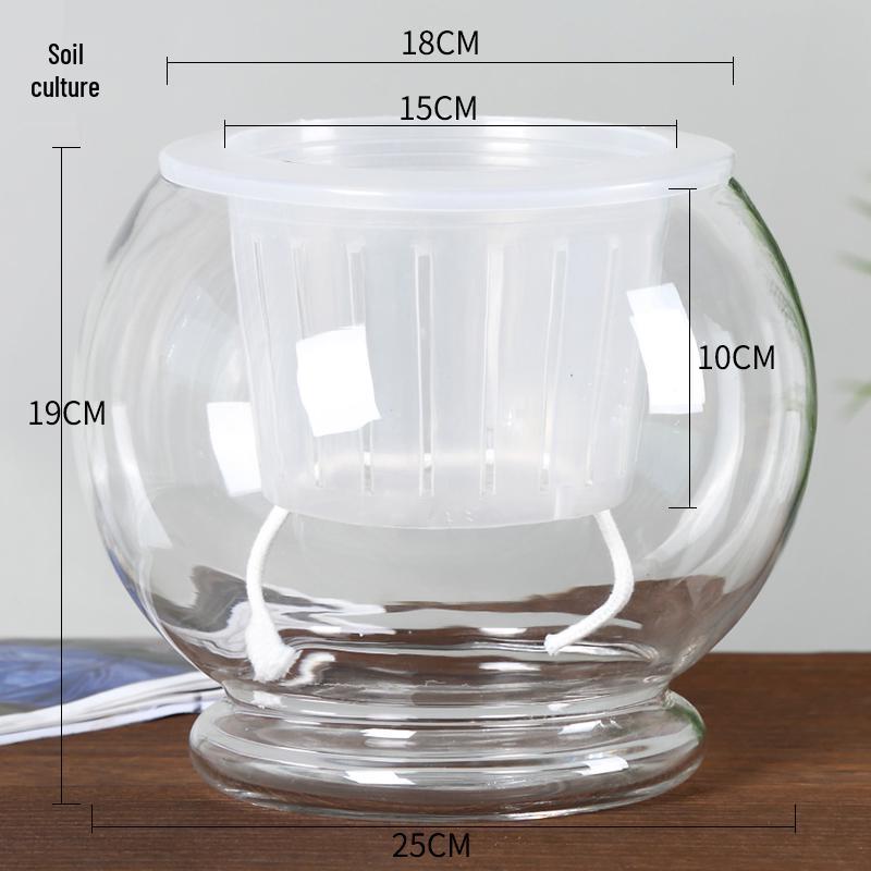 Modern Minimalist Hydroponic Glass Vase for Pothos & Green Plants - Living Room Desk Decor