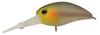 Jackall Timon Panicra DR Shizuoka Bijin Lure 32mm 3.6g E-hook #8 #1