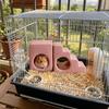 Smooth Hamster House Cooling Small Pet Climbing Ladder Pet Accessories Cooling Nest  for Guinea Pig