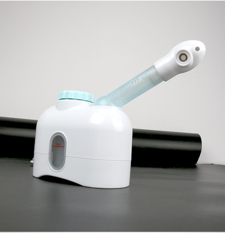 Taidong Small Herbal Facial Steamer for Hydration and Eye Soothing