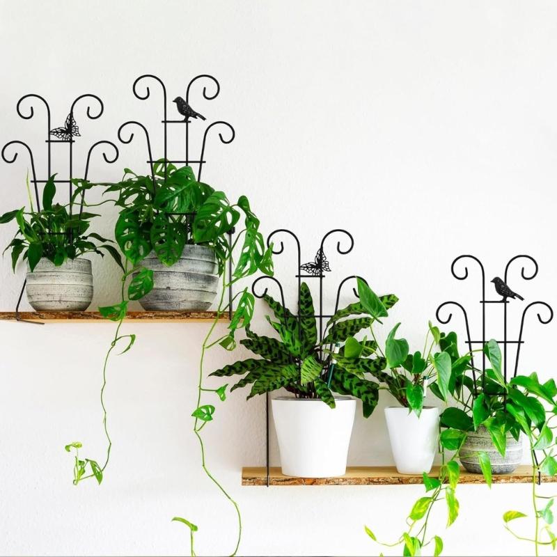 Iron Plant Climbing Support Durability Indoor Plant Trellis For Indoor Outdoor Garden Flower Vertical Growth