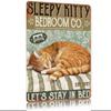 Vintage Metal Tin Sign Sleeping Cat Wall Decor Retro Iron Poster for Living Room