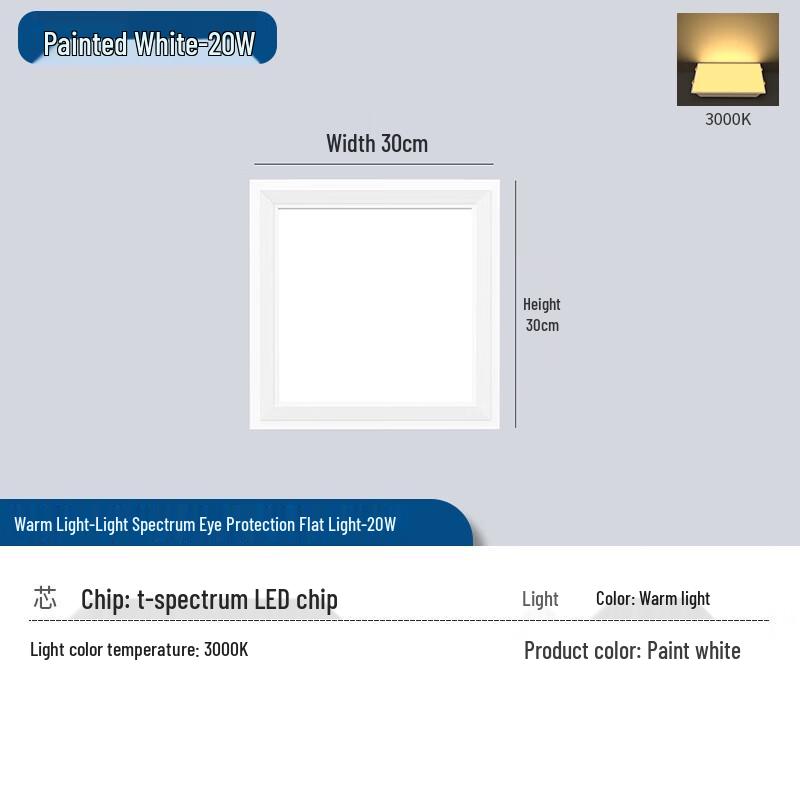 Shengbai Dimmable LED Ceiling Light for Kitchen & Bathroom