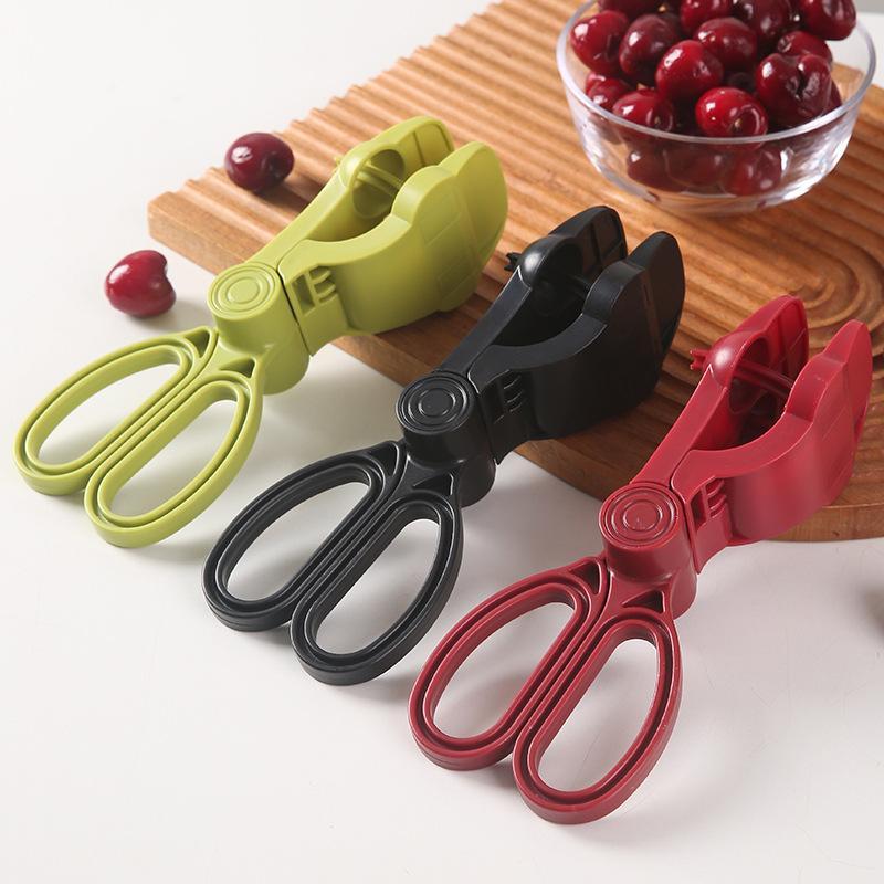 Cherry Pitter Manual Press Food Chopper Perfect For Home Kitchen Baking Jam Making And Fresh Fruit Prep