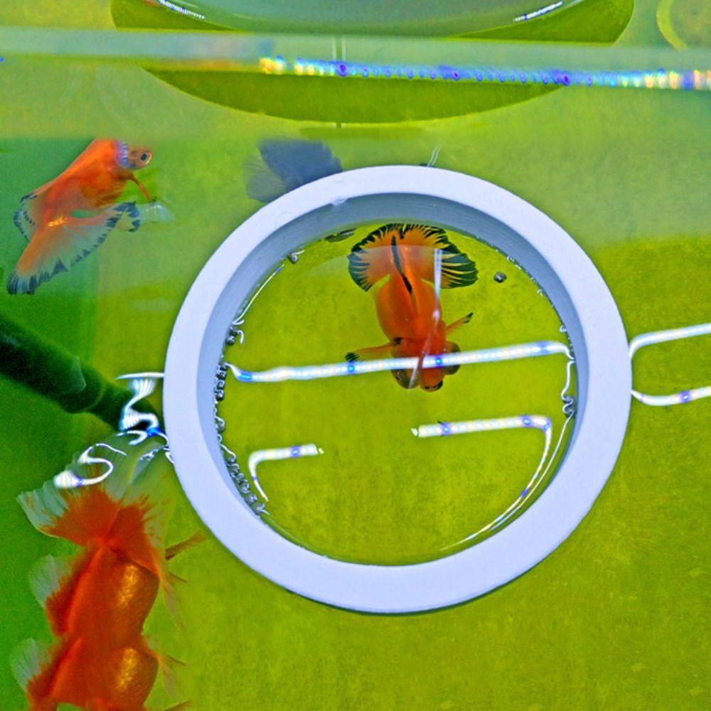 

Round Fish Food Holder Ring White Aquarium Feeding Fish Circle Floating Feeding Ring Aquarium
