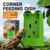 Aufhängbares Design Reptilien-Futter Napf Kunststoff Eidechsen Futter Schale Lebend-Insekten Schale Käfer Beute Fütterung